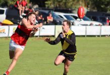 Scores tell the story