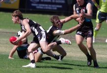 Feathers fly at season opener