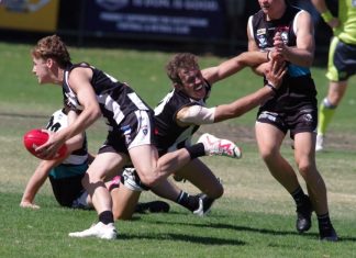 Feathers fly at season opener