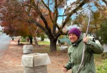 The leaves are falling