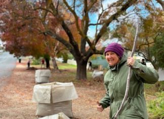 The leaves are falling