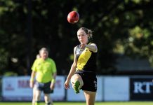 Tigers in interleague teams