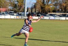 Cats shut down Kyneton