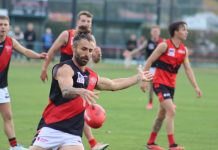 Bombers stun Redbacks