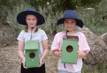 Environmental champions nominated