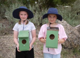 Environmental champions nominated