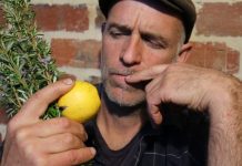 You can’t compost that…can you?