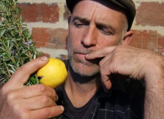 You can’t compost that…can you?