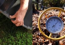 Meat and dairy … in or out?