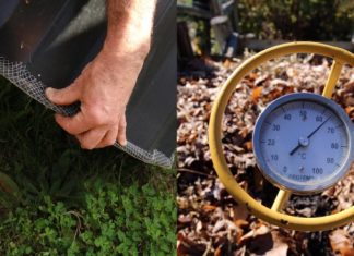 Meat and dairy … in or out?