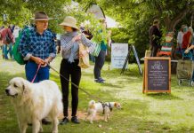 Restock your pantry this market day
