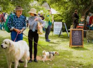 Restock your pantry this market day