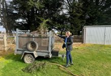 Petition on green waste