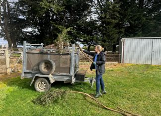 Petition on green waste