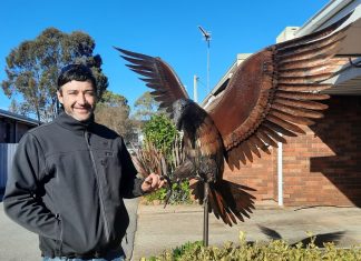 Local talent on show