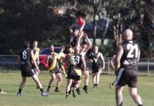 Magpies and Tigers clash at Creek