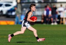 Feathers fly as Magpies do battle