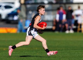 Feathers fly as Magpies do battle