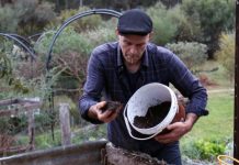 Adding soil, or not?