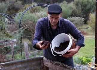 Adding soil, or not?