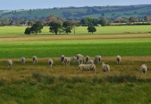 Holistic grazing workshop open