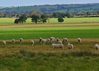 Holistic grazing workshop open