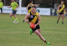Galea’s eight sinks Cats