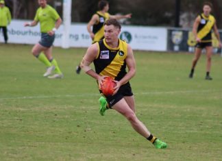 Galea’s eight sinks Cats