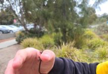 Student’s close call