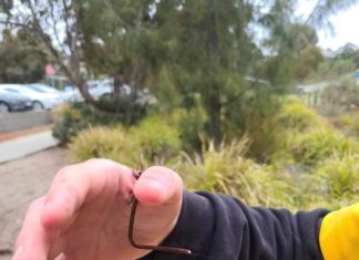 Student’s close call