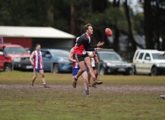 Saints march over Bulldogs