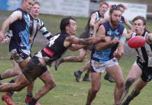 Magpies triumph in the wet