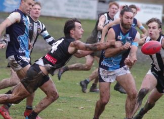 Magpies triumph in the wet