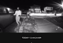 McKenzie Hill targeted by thieves