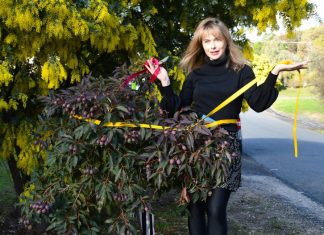 ‘Bureaucratic madness!’