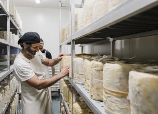 Local fromage named Australia’s best