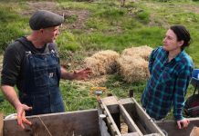 Hooray for the home composter!
