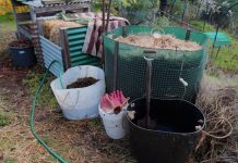 Setting up for success