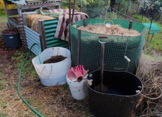 Setting up for success