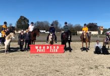 Equestrian left in limbo