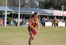 Hawks halt Kyneton