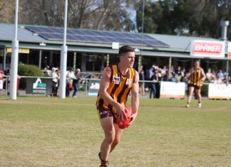 Hawks halt Kyneton