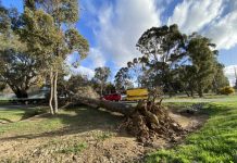 Close call for food van operators