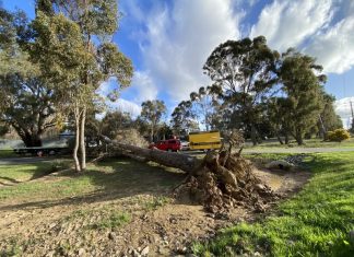 Close call for food van operators