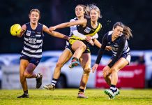 Cats Premiers – by a point