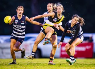 Cats Premiers – by a point