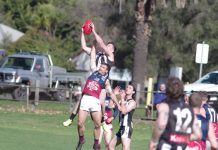 Dragons roar over Magpies