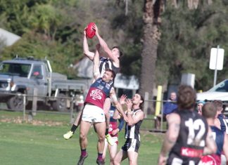 Dragons roar over Magpies