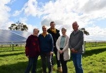 Power flows at Newstead