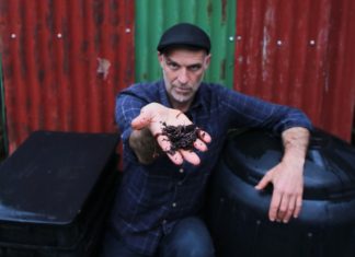 Free-range worm farming